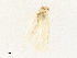  ( - CBG-A31828-C03)  @11 [ ] CreativeCommons - Attribution Share - Alike (2024) CBG Photography Group Centre for Biodiversity Genomics