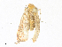  ( - CBG-A31828-G11)  @11 [ ] CreativeCommons - Attribution Share - Alike (2024) CBG Photography Group Centre for Biodiversity Genomics