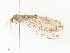  ( - CBG-A35141-C09)  @11 [ ] CreativeCommons - Attribution Share - Alike (2024) CBG Photography Group Centre for Biodiversity Genomics