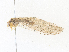  ( - CBG-A35141-C10)  @11 [ ] CreativeCommons - Attribution Share - Alike (2024) CBG Photography Group Centre for Biodiversity Genomics