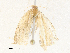  ( - CBG-A35141-E02)  @11 [ ] CreativeCommons - Attribution Share - Alike (2024) CBG Photography Group Centre for Biodiversity Genomics