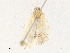  ( - CBG-A35141-E04)  @11 [ ] CreativeCommons - Attribution Share - Alike (2024) CBG Photography Group Centre for Biodiversity Genomics
