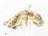  ( - CBG-A35142-B10)  @11 [ ] CreativeCommons - Attribution Share - Alike (2024) CBG Photography Group Centre for Biodiversity Genomics