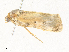  ( - CBG-A35142-C01)  @11 [ ] CreativeCommons - Attribution Share - Alike (2024) CBG Photography Group Centre for Biodiversity Genomics