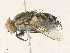  ( - CBG-A35142-H04)  @11 [ ] CreativeCommons - Attribution Share - Alike (2024) CBG Photography Group Centre for Biodiversity Genomics