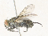  ( - CBG-A35142-H10)  @11 [ ] CreativeCommons - Attribution Share - Alike (2024) CBG Photography Group Centre for Biodiversity Genomics