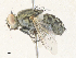  ( - CBG-A35143-A03)  @11 [ ] CreativeCommons - Attribution Share - Alike (2024) CBG Photography Group Centre for Biodiversity Genomics