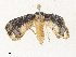  ( - CBG-A35143-B05)  @11 [ ] CreativeCommons - Attribution Share - Alike (2024) CBG Photography Group Centre for Biodiversity Genomics
