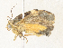  ( - CBG-A35143-C06)  @11 [ ] CreativeCommons - Attribution Share - Alike (2024) CBG Photography Group Centre for Biodiversity Genomics