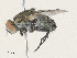  ( - CBG-A35144-G04)  @11 [ ] CreativeCommons - Attribution Share - Alike (2024) CBG Photography Group Centre for Biodiversity Genomics