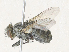  ( - CBG-A35144-G08)  @11 [ ] CreativeCommons - Attribution Share - Alike (2024) CBG Photography Group Centre for Biodiversity Genomics