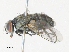  ( - CBG-A35144-G10)  @11 [ ] CreativeCommons - Attribution Share - Alike (2024) CBG Photography Group Centre for Biodiversity Genomics