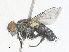  ( - CBG-A35144-H01)  @11 [ ] CreativeCommons - Attribution Share - Alike (2024) CBG Photography Group Centre for Biodiversity Genomics