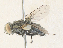  ( - CBG-A35145-A02)  @11 [ ] CreativeCommons - Attribution Share - Alike (2024) CBG Photography Group Centre for Biodiversity Genomics
