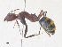  ( - CBG-A35148-G11)  @11 [ ] CreativeCommons - Attribution Share - Alike (2024) CBG Photography Group Centre for Biodiversity Genomics