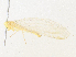  ( - CBG-A38501-F08)  @11 [ ] CreativeCommons - Attribution Share - Alike (2024) CBG Photography Group Centre for Biodiversity Genomics