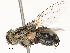  ( - CBG-A48520-H07)  @11 [ ] CreativeCommons - Attribution Share - Alike (2024) CBG Photography Group Centre for Biodiversity Genomics