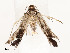 ( - CBG-A51066-A04)  @11 [ ] CreativeCommons - Attribution Share - Alike (2024) CBG Photography Group Centre for Biodiversity Genomics