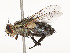  ( - CBG-A51066-E11)  @11 [ ] CreativeCommons - Attribution Share - Alike (2024) CBG Photography Group Centre for Biodiversity Genomics