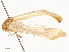  ( - CBG-A51067-D03)  @11 [ ] CreativeCommons - Attribution Share - Alike (2024) CBG Photography Group Centre for Biodiversity Genomics