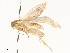  ( - CBG-A51067-D04)  @11 [ ] CreativeCommons - Attribution Share - Alike (2024) CBG Photography Group Centre for Biodiversity Genomics