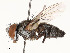  ( - CBG-A51067-E12)  @11 [ ] CreativeCommons - Attribution Share - Alike (2024) CBG Photography Group Centre for Biodiversity Genomics