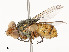  ( - CBG-A51069-E07)  @11 [ ] CreativeCommons - Attribution Share - Alike (2024) CBG Photography Group Centre for Biodiversity Genomics