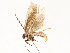  ( - CBG-A51069-G08)  @11 [ ] CreativeCommons - Attribution Share - Alike (2024) CBG Photography Group Centre for Biodiversity Genomics