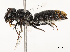  ( - CBG-A51070-D12)  @11 [ ] CreativeCommons - Attribution Share - Alike (2024) CBG Photography Group Centre for Biodiversity Genomics