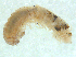 ( - BL-105410-A05)  @11 [ ] CreativeCommons  Attribution Non-Commercial Share-Alike (2016) Alex Smith University of Guelph