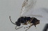  ( - DHJPAR0001607)  @12 [ ] Unspecified (default): All Rights Reserved  Unspecified Unspecified