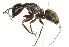  ( - 09GUANTS-313)  @14 [ ] CC-0  Unspecified Unspecified