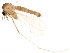  ( - BIOUG01850-E02)  @13 [ ] CreativeCommons - Attribution (2012) CBG Photography Group Centre for Biodiversity Genomics