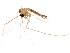  ( - BIOUG01850-E08)  @12 [ ] CreativeCommons - Attribution (2012) CBG Photography Group Centre for Biodiversity Genomics
