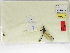  ( - INB0003576180)  @11 [ ] Copyright (2012) B. Haber Instituto Nacional de Biodiversidad