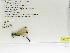  ( - INB0003609065)  @11 [ ] Copyright (2012) B. Haber Instituto Nacional de Biodiversidad