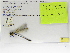  ( - INB0003684105)  @11 [ ] Copyright (2012) B. Haber Instituto Nacional de Biodiversidad
