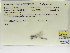  ( - INB0004315382)  @11 [ ] Copyright (2012) B. Haber Instituto Nacional de Biodiversidad