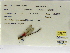 ( - INB0004315470)  @11 [ ] Copyright (2012) B. Haber Instituto Nacional de Biodiversidad