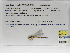  ( - INB0004315519)  @11 [ ] Copyright (2012) B. Haber Instituto Nacional de Biodiversidad