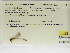  ( - INB0004315533)  @11 [ ] Copyright (2012) B. Haber Instituto Nacional de Biodiversidad