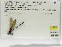  ( - INB0004315536)  @11 [ ] Copyright (2012) B. Haber Instituto Nacional de Biodiversidad