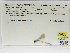  ( - INB0004315551)  @11 [ ] Copyright (2012) B. Haber Instituto Nacional de Biodiversidad