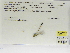  ( - INB0004315580)  @11 [ ] Copyright (2012) B. Haber Instituto Nacional de Biodiversidad