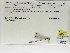  ( - INB0004315615)  @12 [ ] Copyright (2012) B. Haber Instituto Nacional de Biodiversidad