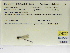  ( - INB0004315617)  @11 [ ] Copyright (2012) B. Haber Instituto Nacional de Biodiversidad