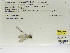  ( - INB0004315623)  @11 [ ] Copyright (2012) B. Haber Instituto Nacional de Biodiversidad