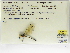  ( - INB0004315926)  @11 [ ] Copyright (2012) B. Haber Instituto Nacional de Biodiversidad