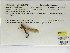  ( - INB0004315953)  @11 [ ] Copyright (2012) B. Haber Instituto Nacional de Biodiversidad