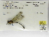  ( - INB0004315977)  @11 [ ] Copyright (2012) B. Haber Instituto Nacional de Biodiversidad